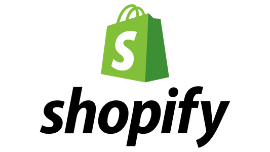 Shopify Store Guide (Dropshipping)